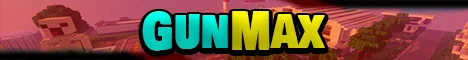 Banner GunMax